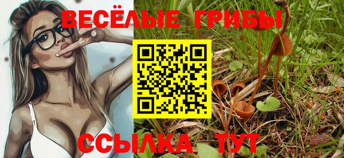 Галлюциногенные грибы ЛСД Кольчугино